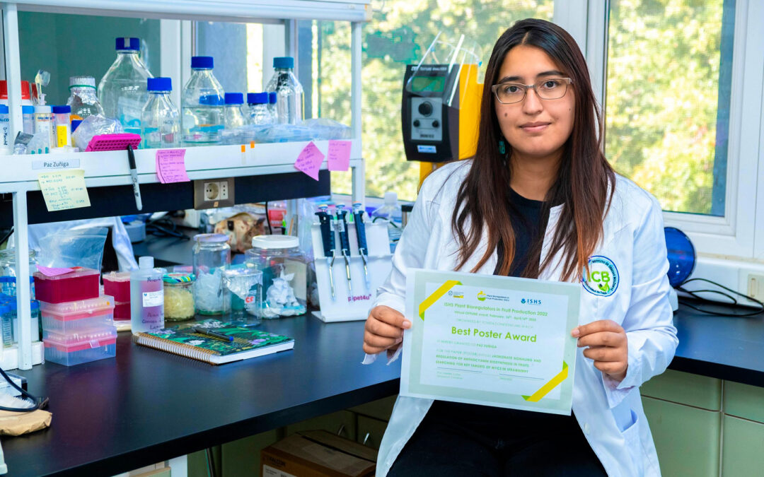 Revista Chronica Horticulturae reconoce trabajo de estudiante de doctorado de la U. de Talca