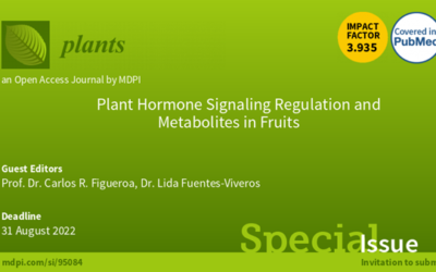 31 agosto 2022 | Special Issue “Plant Hormone Signaling Regulation and Metabolites in Fruits”