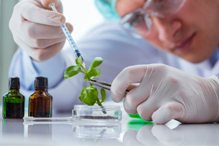 Con la participación de investigadores MN-SAP: Dr. José Estevez lideró exitoso curso en Biotecnología Vegetal