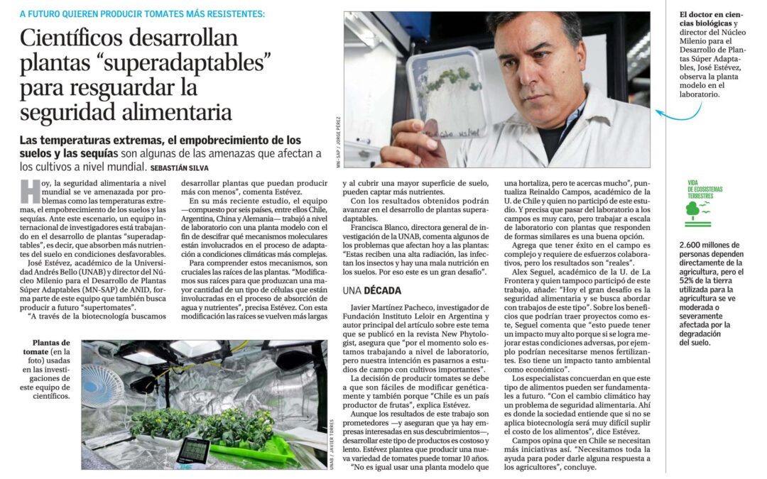 El Mercurio | Científicos desarrollan plantas “superadaptables” para resguardar la seguridad alimentaria